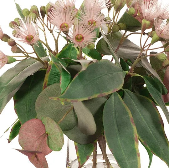 Eucalyptus Flowering Mix in Vase