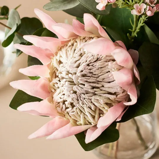 Protea King Mix in Vase