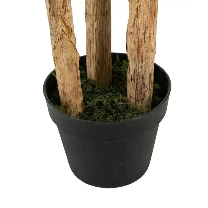 Fern Tree In Pot JJ Crown Design