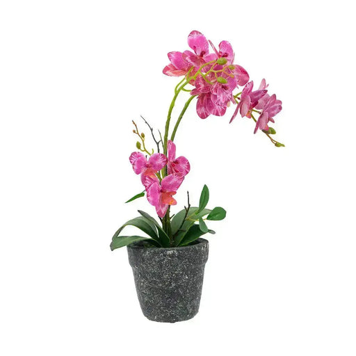 Orchid Feel Real Pink JJ Crown Design