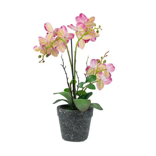 Orchid Feel Real Pink JJ Crown Design