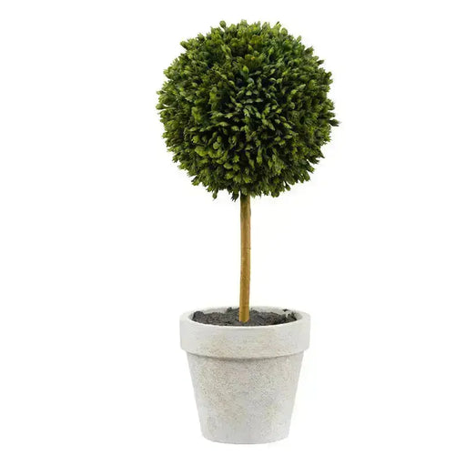 Potted Boxwood Topiaries Gift Box - A Lush and Opulent Look Without the Hassle JJ Crown Design
